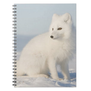 USA, Alaska, 1002 Coastal Plain of the Arctic 5 Spiral Notebook