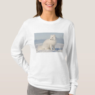 USA, Alaska, 1002 Coastal Plain of the Arctic 5 T-Shirt