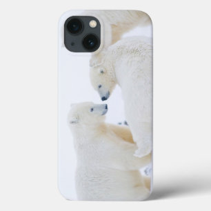 USA, Alaska, 1002 Coastal Plain of the Arctic iPhone 13 Case