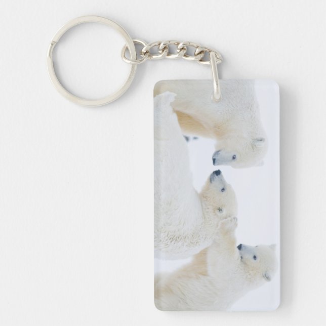 USA, Alaska, 1002 Coastal Plain of the Arctic Key Ring (Front)