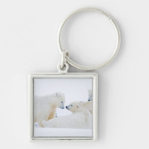 USA, Alaska, 1002 Coastal Plain of the Arctic Key Ring