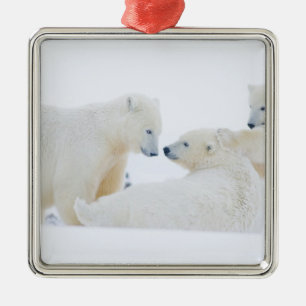 USA, Alaska, 1002 Coastal Plain of the Arctic Metal Tree Decoration