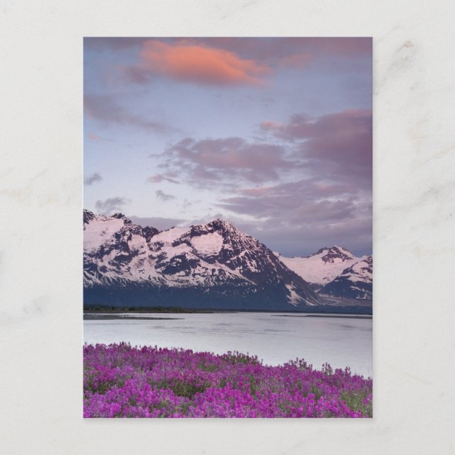 USA, Alaska, Alsek River Valley. View of Alsek Postcard (Front)