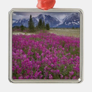 USA, Alaska, Alsek River Valley. View of Metal Tree Decoration