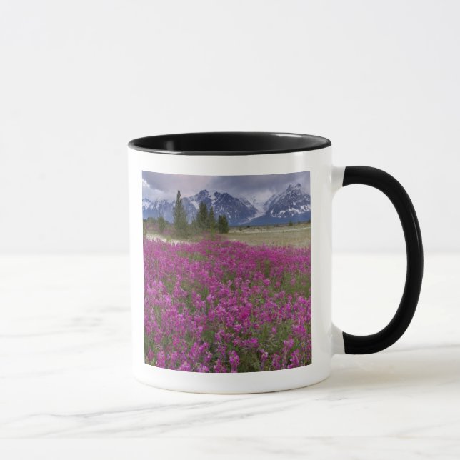USA, Alaska, Alsek River Valley. View of Mug (Right)