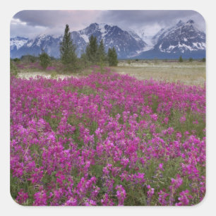 USA, Alaska, Alsek River Valley. View of Square Sticker