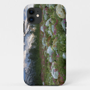 USA, Alaska, Alsek-Tatshenshini Wilderness. View Case-Mate iPhone Case