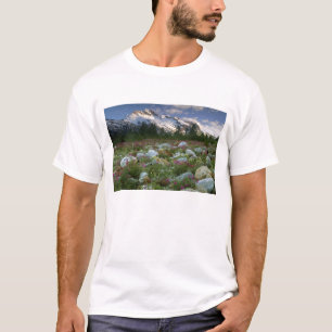 USA, Alaska, Alsek-Tatshenshini Wilderness. View T-Shirt