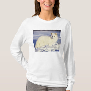 USA, Alaska. Arctic fox in winter coat T-Shirt
