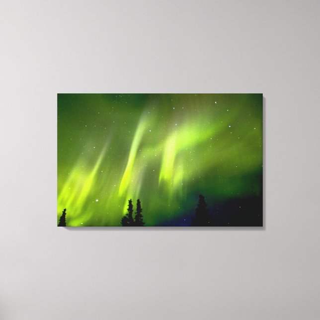 USA, Alaska, Chena Hot Springs. Aurora 3 Canvas Print (Front)