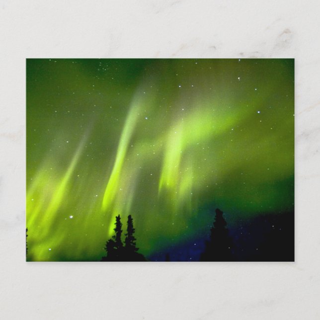 USA, Alaska, Chena Hot Springs. Aurora 3 Postcard (Front)