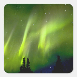 USA, Alaska, Chena Hot Springs. Aurora 3 Square Sticker