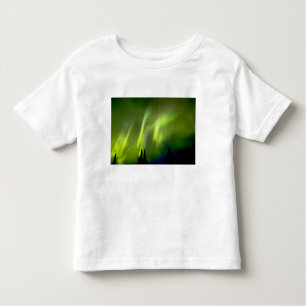 USA, Alaska, Chena Hot Springs. Aurora 3 Toddler T-Shirt