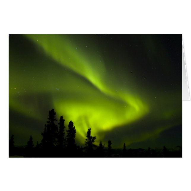 USA, Alaska, Chena Hot Springs. Aurora Borealis 2 (Front Horizontal)