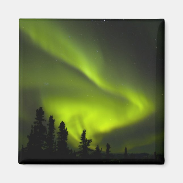 USA, Alaska, Chena Hot Springs. Aurora Borealis 2 Magnet (Front)
