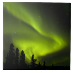 USA, Alaska, Chena Hot Springs. Aurora Borealis 2 Tile