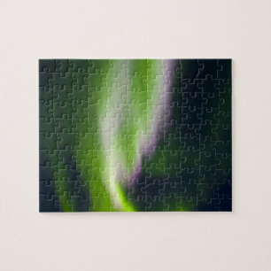 USA, Alaska, Chena Hot Springs. Aurora Borealis Jigsaw Puzzle