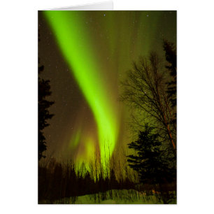 USA, Alaska, Chena Hot Springs. View Of Aurora