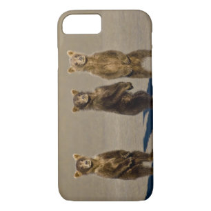 USA. Alaska. Coastal Brown Bear cubs Case-Mate iPhone Case