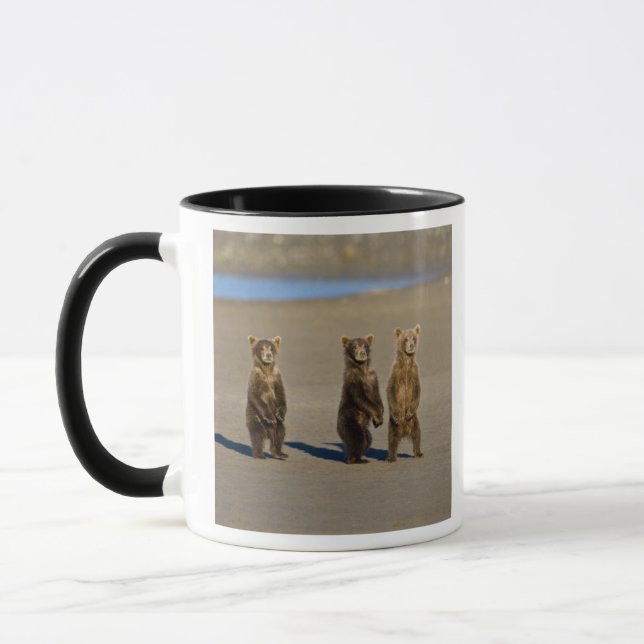 USA. Alaska. Coastal Brown Bear cubs Mug (Left)