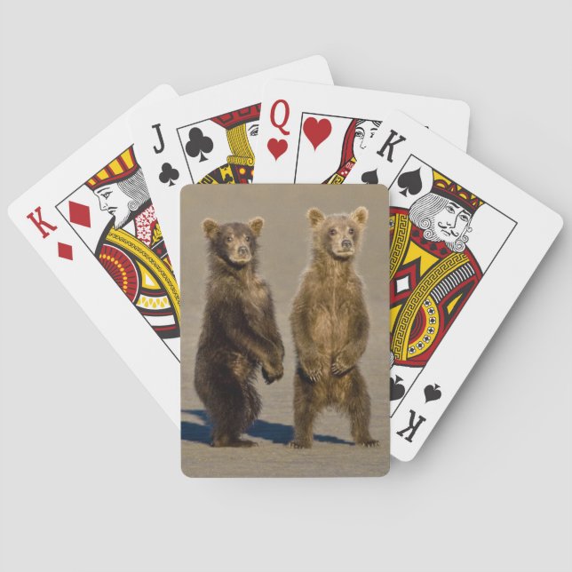 USA. Alaska. Coastal Brown Bear cubs Playing Cards (Back)