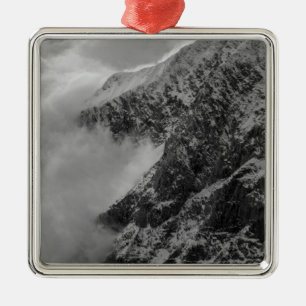 USA, Alaska, Denali National Park, Aerial view 4 Metal Tree Decoration