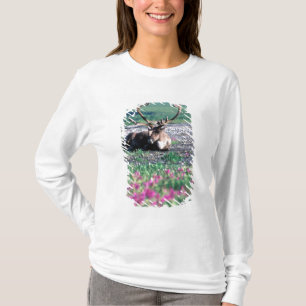 USA, Alaska, Denali National Park, Caribou T-Shirt
