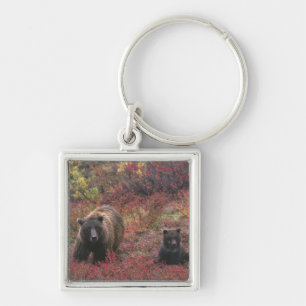 USA, Alaska, Denali National Park. Grizzly bear Key Ring
