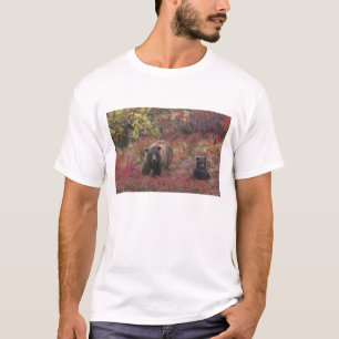 USA, Alaska, Denali National Park. Grizzly bear T-Shirt