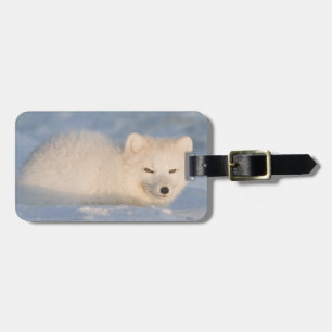 USA, Alaska, Fox Luggage Tag