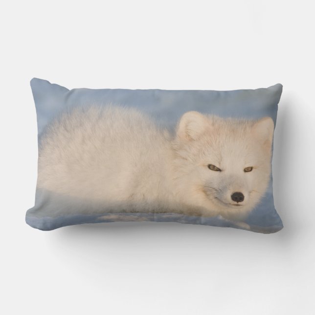 USA, Alaska, Fox Lumbar Cushion (Front)