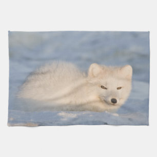 USA, Alaska, Fox Tea Towel