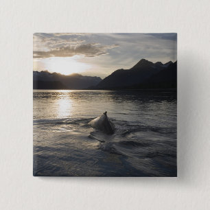 USA, Alaska, Glacier Bay National Park, 15 Cm Square Badge