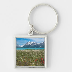 USA, Alaska, Glacier Bay National Park 2 Key Ring