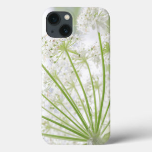 USA, Alaska, Glacier Bay National Park 3 iPhone 13 Case