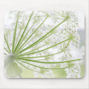 USA, Alaska, Glacier Bay National Park 3 Mouse Pad