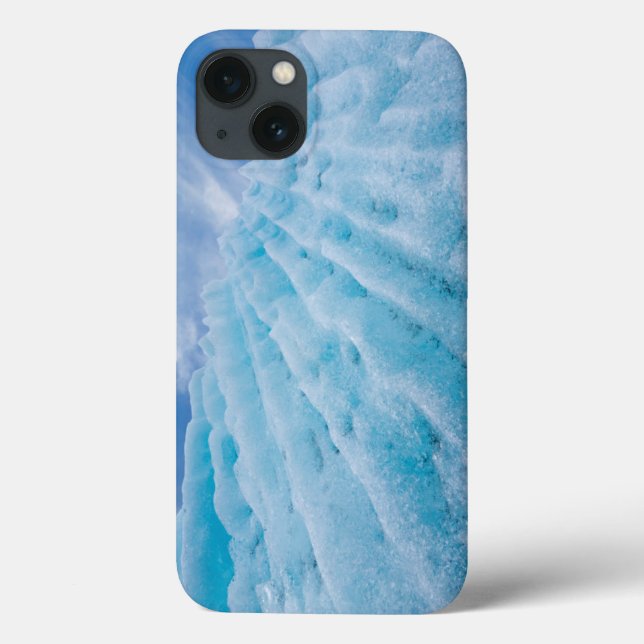 USA, Alaska, Glacier Bay National Park 4 Case-Mate iPhone Case (Back)