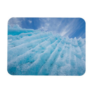 USA, Alaska, Glacier Bay National Park 4 Magnet