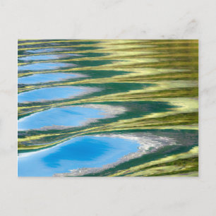 USA, Alaska, Glacier Bay National Park 5 Postcard