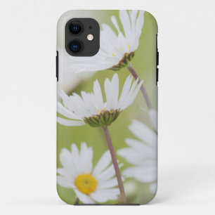 USA, Alaska, Glacier Bay National Park iPhone 11 Case