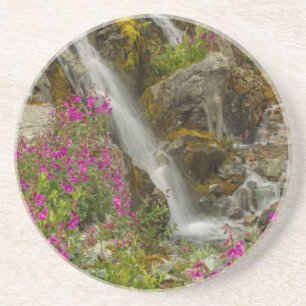 USA, Alaska, Glacier Bay National Park. Fireweed Coaster