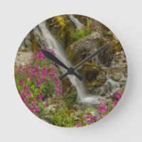 USA, Alaska, Glacier Bay National Park. Fireweed