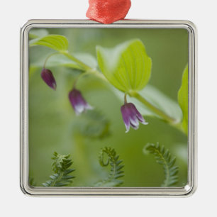 USA, Alaska, Glacier Bay National Park. Metal Tree Decoration