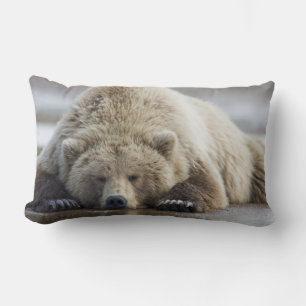 USA, Alaska, Katmai National Park, Brown Bear Lumbar Cushion