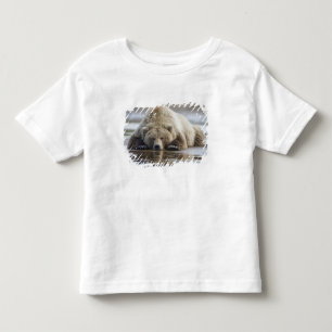 USA, Alaska, Katmai National Park, Brown Bear Toddler T-Shirt