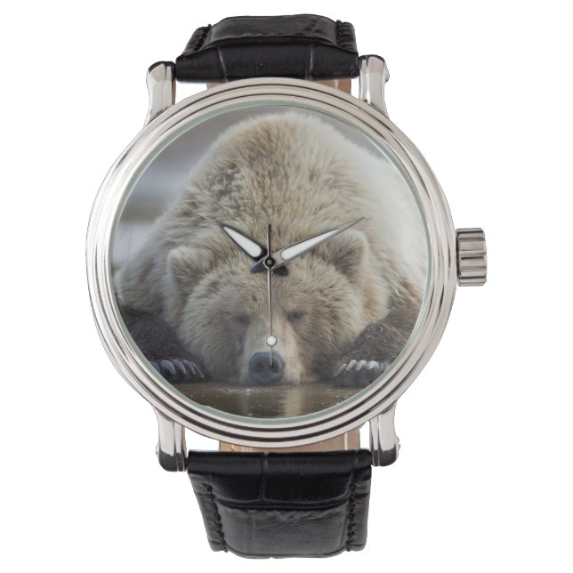 USA, Alaska, Katmai National Park, Brown Bear Watch (Front)