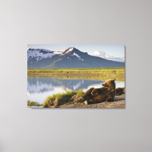 USA, Alaska, Katmai National Park, Brown Bears Canvas Print