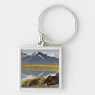 USA, Alaska, Katmai National Park, Brown Bears Key Ring