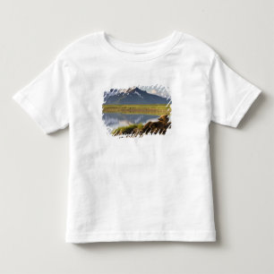 USA, Alaska, Katmai National Park, Brown Bears Toddler T-Shirt