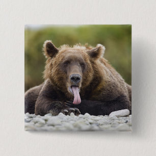 USA, Alaska, Katmai National Park, Kukak Bay, 15 Cm Square Badge